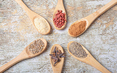 Épices : un trésor culinaire