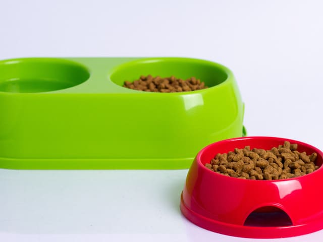 gamelles pour chiens