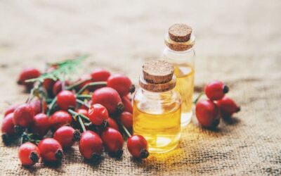 L’Huile de rose musquée et ses Bienfaits