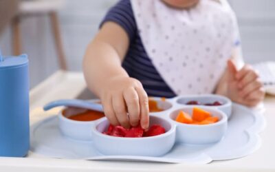Diversification Alimentaire des Bébés